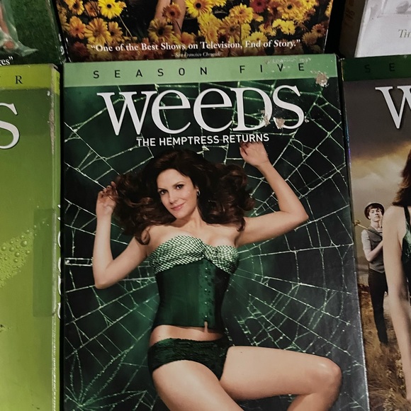 Weeds Season Two DVD - Picture 5 of 9